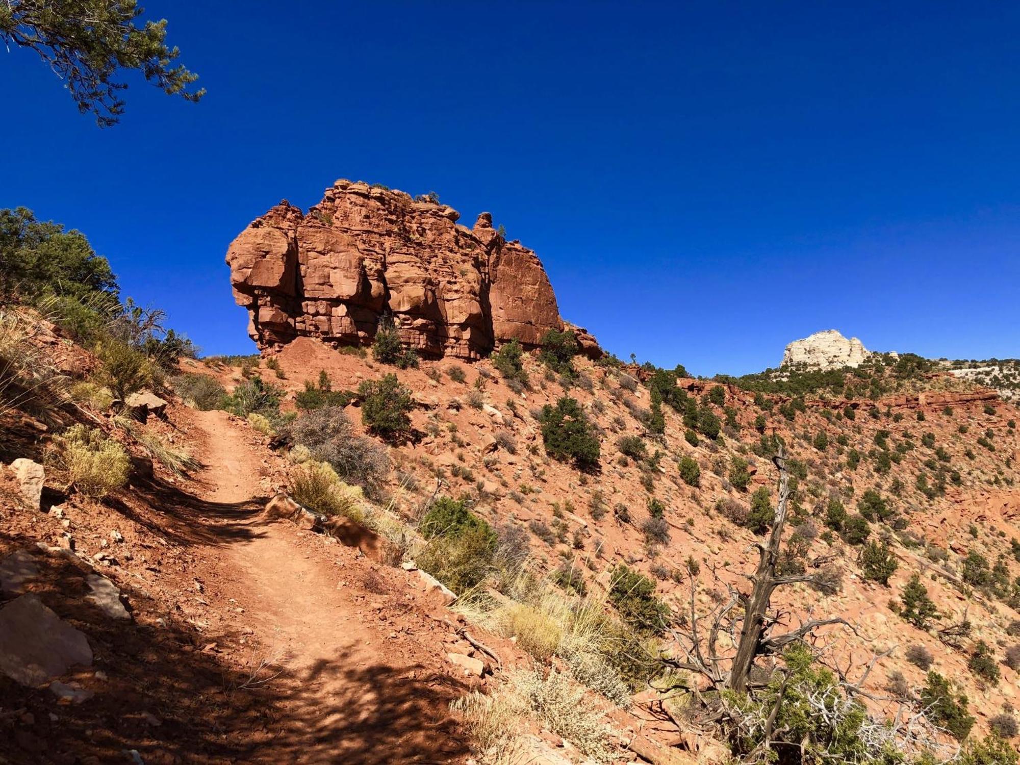 Luxury Pet Friendly Holiday Home La Estancia Kanab Extérieur photo